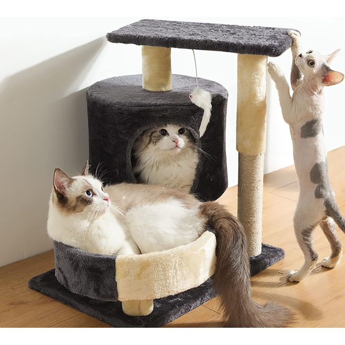 Animalux griffoir et maison pour chat 1 mètre cm la hauteur sur 50 cm