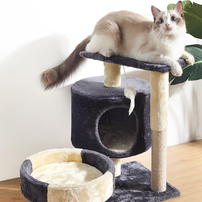 Animalux griffoir et maison pour chat 1 mètre cm la hauteur sur 50 cm