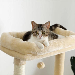 Chat se reposant sur un arbre à chat confortable de 170 cm, parfait pour jouer et se détendre.
