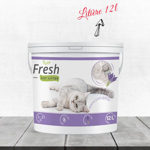 Pack Chatons All In One Nutrilux : Litière Fresh pour chat avec un seau de 12L