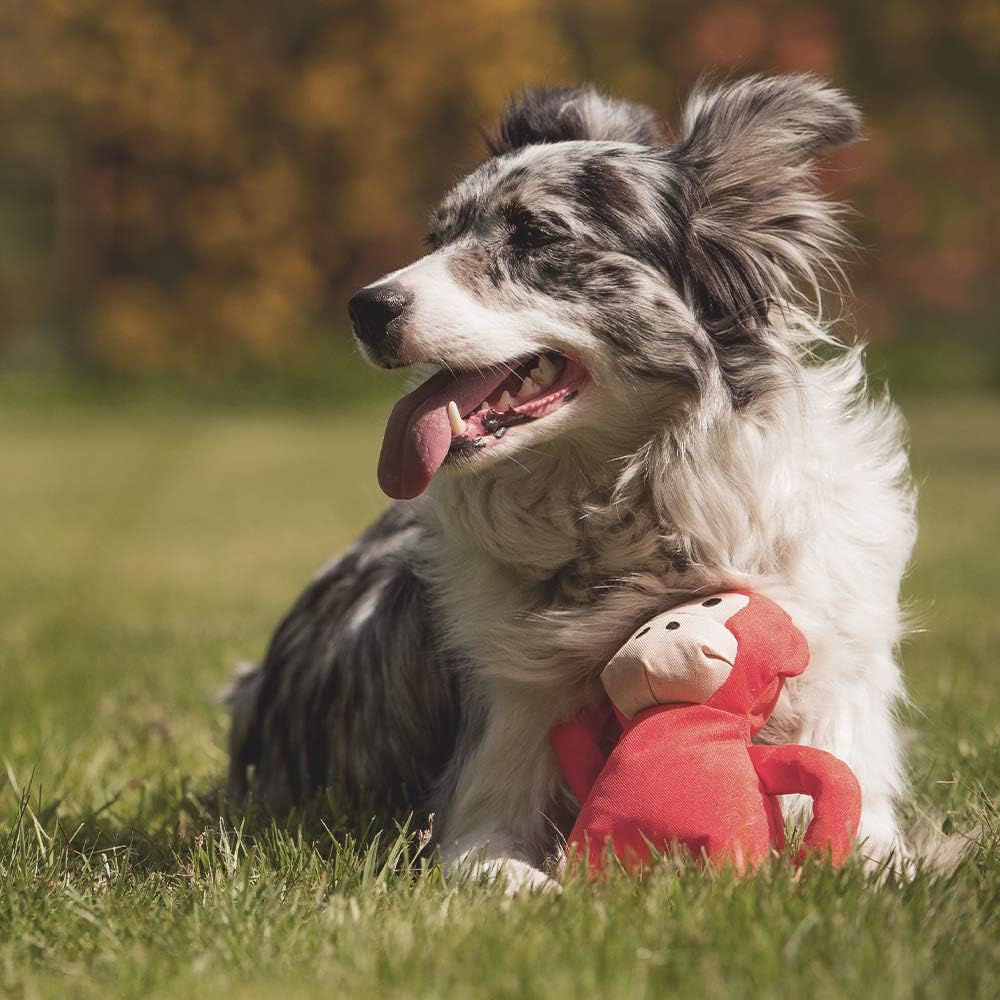 Peluche Beco – Singe – Moyen