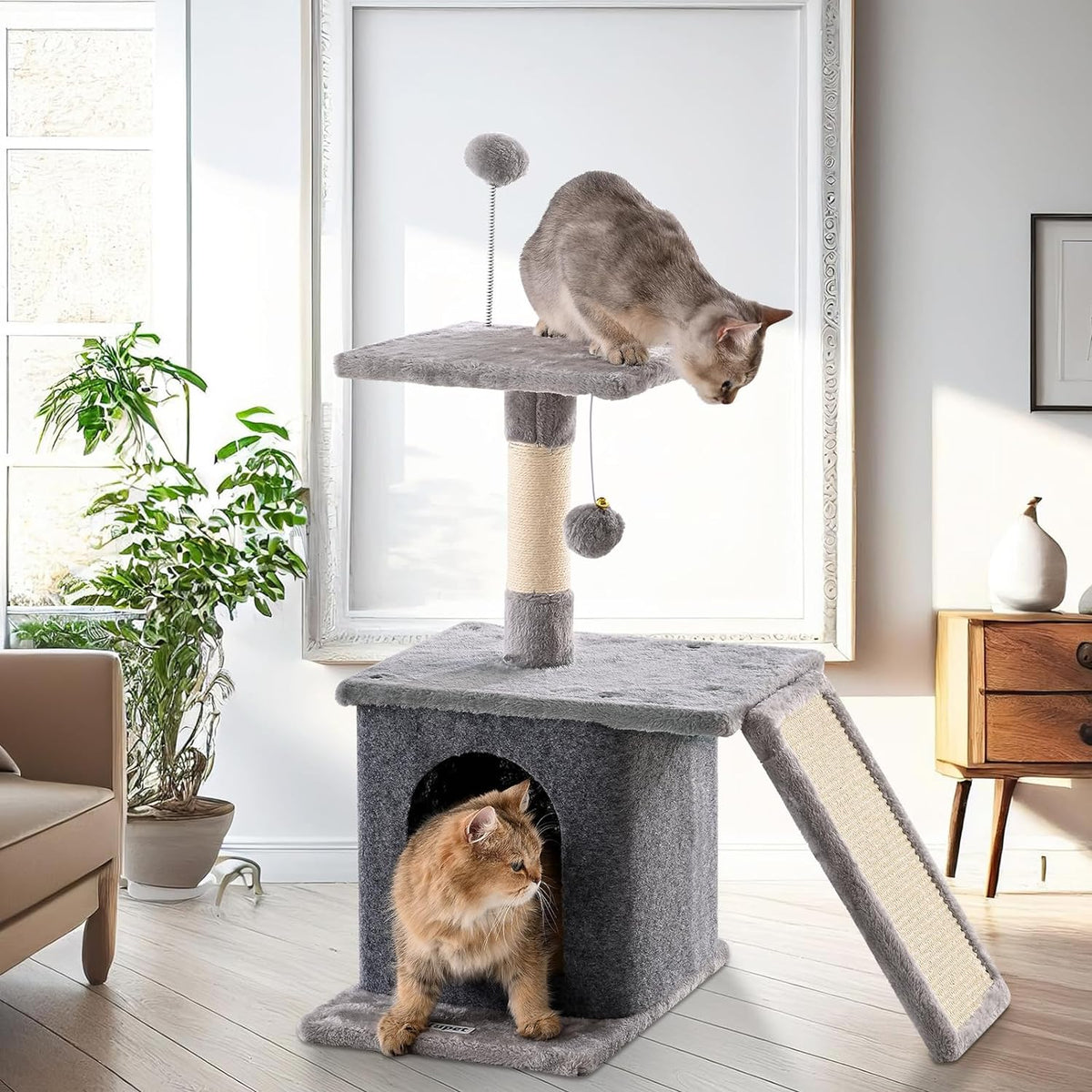 Arbre à chat avec balle pendante, plate-forme de saut