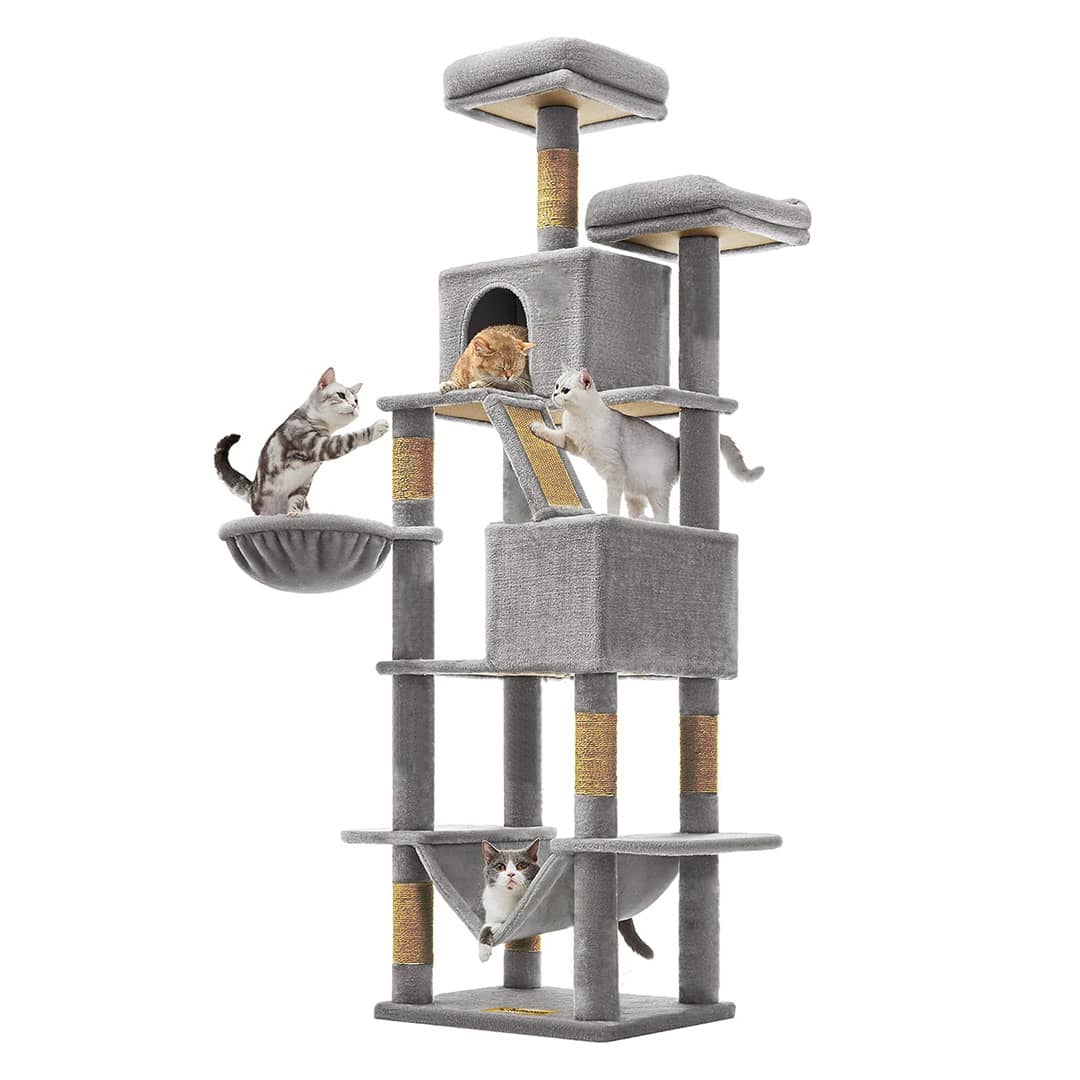 Arbre à Chat Multi-Niveaux – 186 cm
