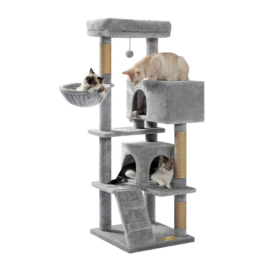 Arbre à Chat 170 cm – Aire de Jeu Complète pour Chats Actifs