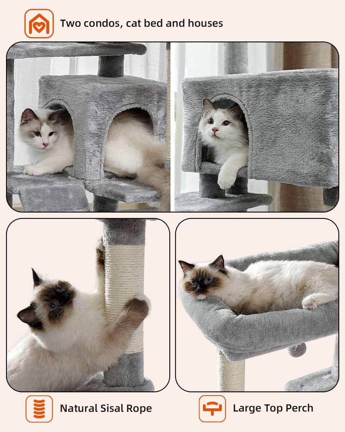 Arbre à Chat 170 cm – Aire de Jeu Complète pour Chats Actifs