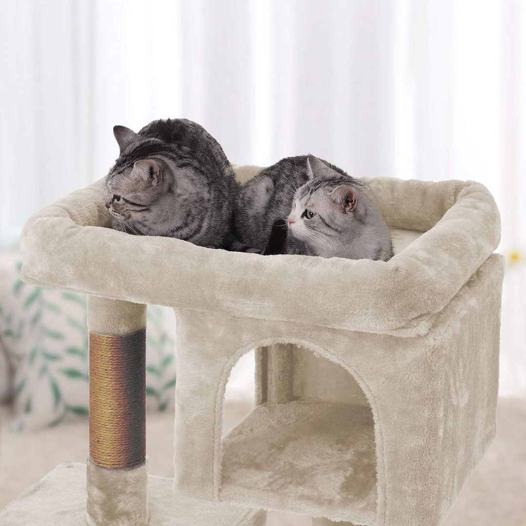 Arbre à chat de luxe en bois naturel – 80 cm - Beige - ECO