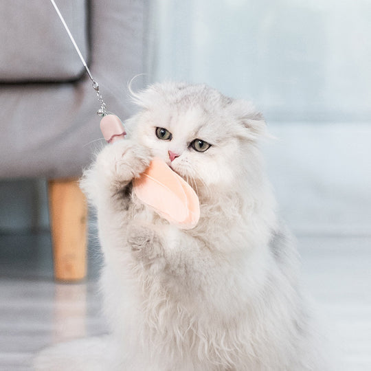 Jouet avec plume et laser pour chat