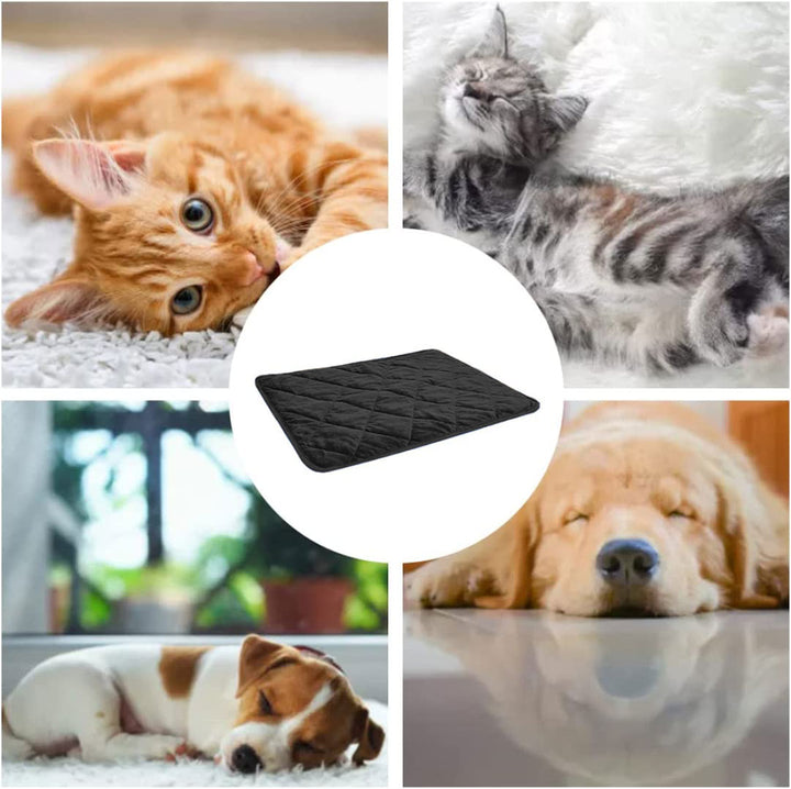 Tapis Chauffant pour Chats et Chiens