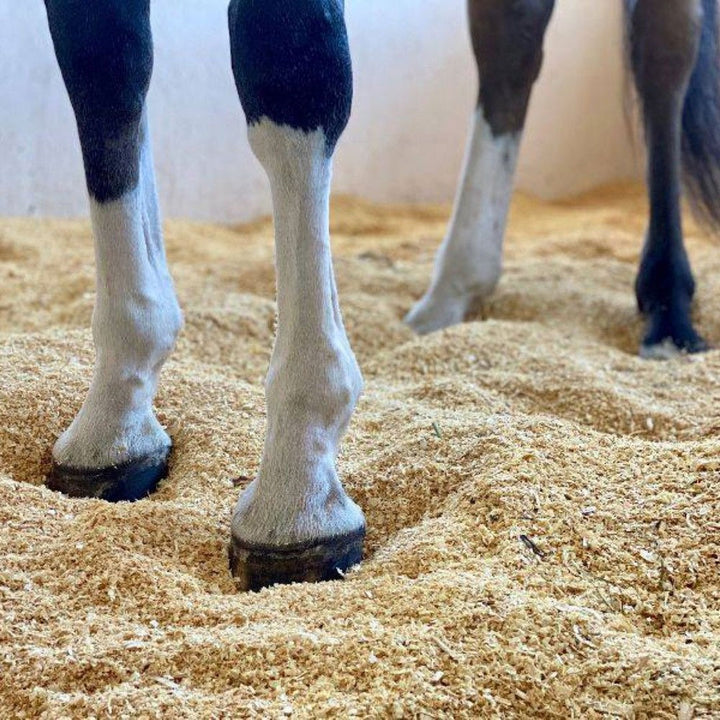 Litière Absorbante  pour chevaux en bois