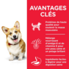 HILL’S SCIENCE PLAN Aliment pour Chien Adulte Small & Mini au Poulet (10kg)