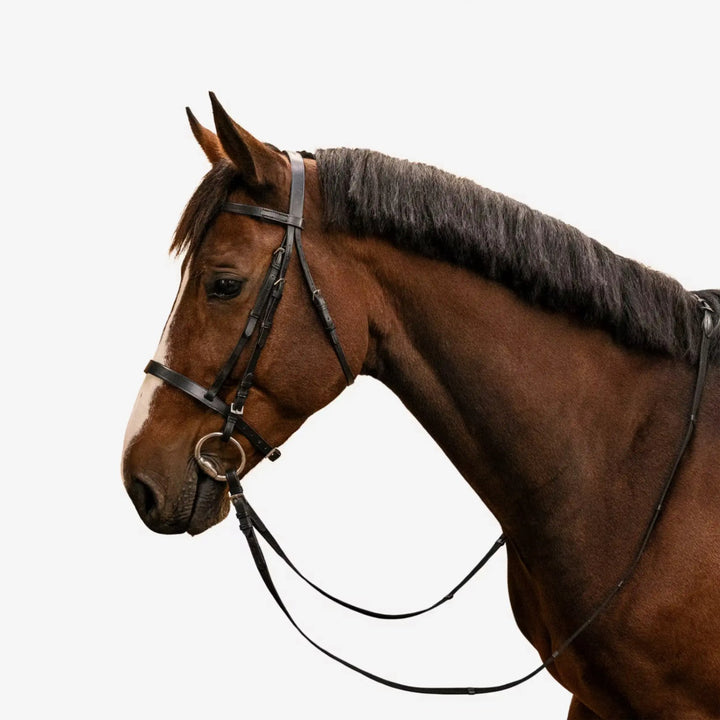 Filet et rênes d'équitation en cuir noir sur un cheval brun, matériel équestre disponible au Maroc.