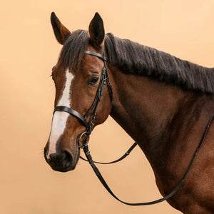 Filet et rênes d'équitation en cuir noir sur un cheval bai, équipement cavalier disponible au Maroc.