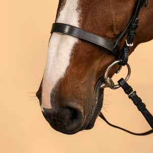 Filet et rênes d'équitation en cuir noir sur un cheval, matériel de sellerie disponible au Maroc.