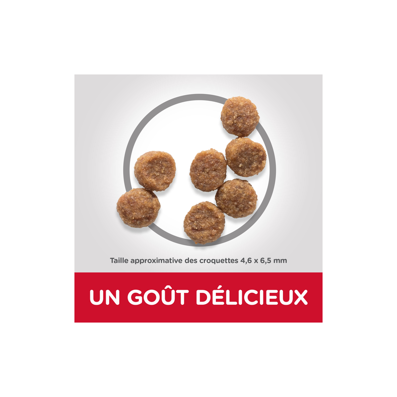 Hills croquette chien PUPPY SMALL AND MINI Dog Food with Chicken 6KG