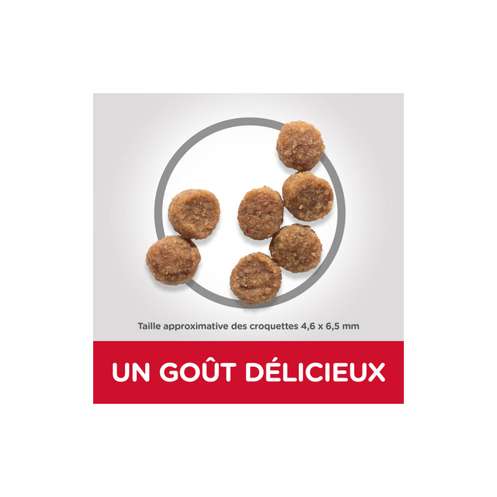 Hills croquette chien PUPPY SMALL AND MINI Dog Food with Chicken 6KG