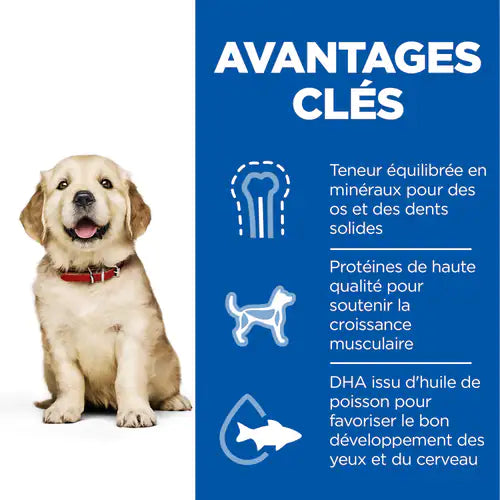 Hill’s Science Plan Large Breed Puppy Aliment pour Chiot de Grande Race (2.5kg)