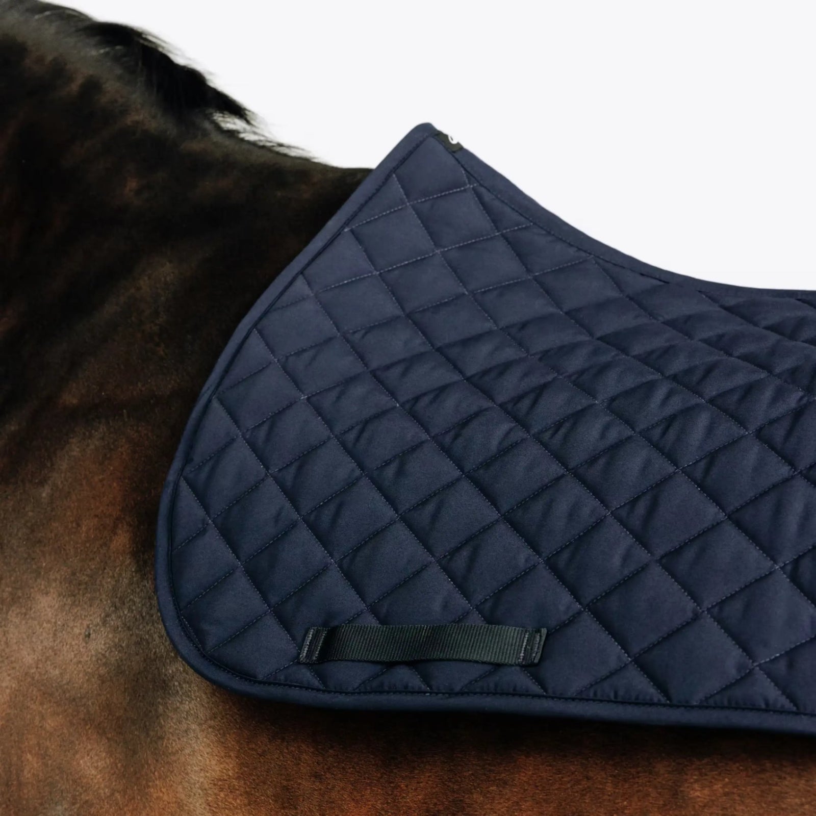 Tapis de selle cheval moelleux bleu marine matelassé, équipement équitation disponible en livraison au Maroc.
