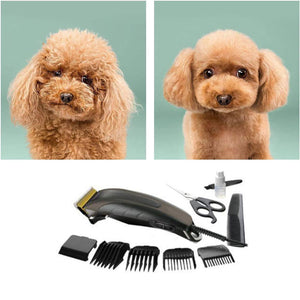 kit de tondeuse de toilettage